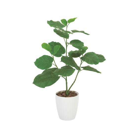 【メーカー直送】アートクリエイション ウンベラ-タ 80cm 61280043【代引不可】人工植物 ...