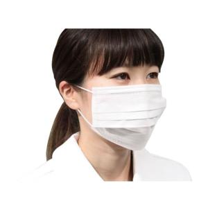 ファーストレイト フィット使いきりマスク レギ...の詳細画像1