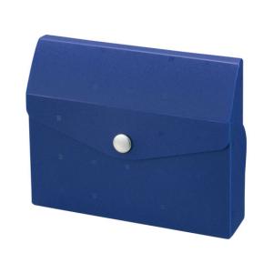 リヒトラブ/CUBE FIZZ カードケース 収納20枚/A6003-11