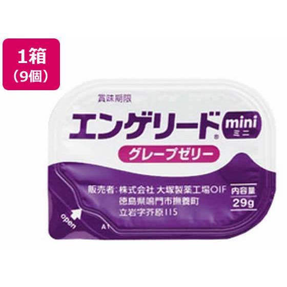 【お取り寄せ】大塚製薬 エンゲリード ミニ グレープ 29g×9個 介護食 介助