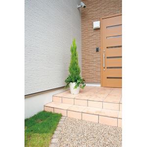 クリスマスプレゼントに アートグリーン 人工観葉植物 光の楽園 ゴールドクレスト1 4 最安値 価格比較 Yahoo ショッピング 口コミ 評判 からも探せる