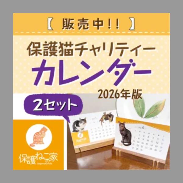 保護ねこの家　チャリティーカレンダー　2026  (2セット)