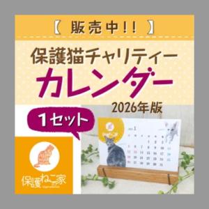 保護ねこの家 チャリティーカレンダー 2026の商品画像