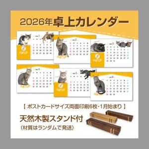 保護ねこの家 チャリティーカレンダー 2026の詳細画像1