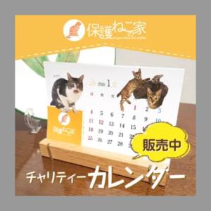 保護ねこの家 チャリティーカレンダー 2026の詳細画像3