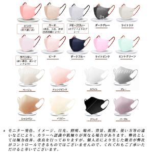 マスク 不織布 立体 55枚 53枚 バイカラ...の詳細画像2