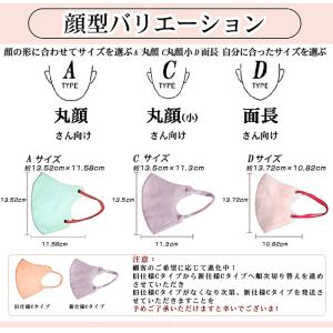 マスク 冷感 不織布 立体 55枚 53枚 バ...の詳細画像1
