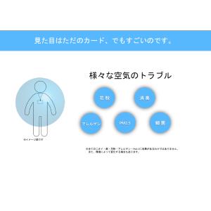 【正規品】エアデザインカード(Air Desi...の詳細画像2