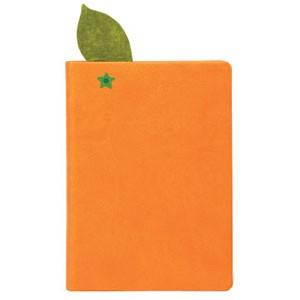 ノート デイクラフト （DAYCRAFT） Juicy ノートブック 2セット オレンジ R4018の商品画像