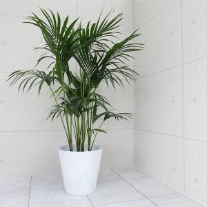 Darwin’s Grip ダーウィンズグリップ 草刈り 芝刈り トリマー 最強の草刈りグリップがきた！【ダーウィンズグリップPRO】 - わさびブログ