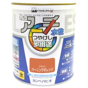 カンペハピオ アレスアーチ バーニングオレンジ 0.1L