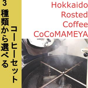 セレクト3ｐｋ（100ｇ×3pk)｜cocomameyashop