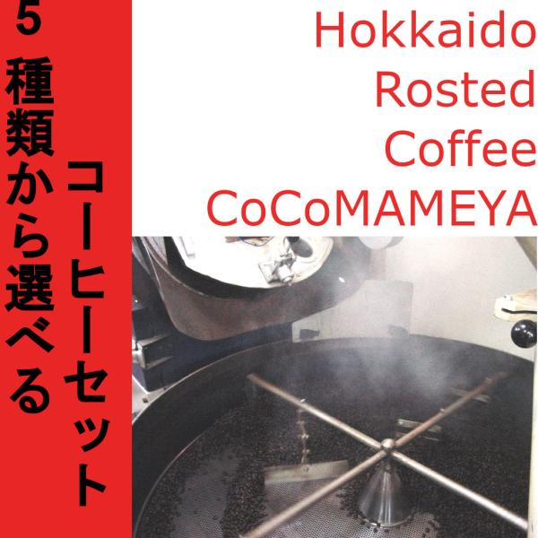 セレクト5パック（100ｇ×5pk)