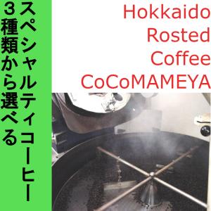 選べるスペシャルティコーヒー３パック｜cocomameyashop