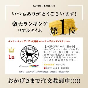 ゴールデンレトリバー ゴールデンレトリーバー ...の詳細画像1