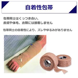 スリーエムジャパンヘルスケアカンパニー コーバ...の詳細画像1