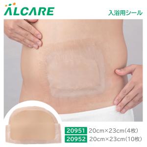 ALCARE デオファイン 潤滑消臭剤 詰め替え 500ml 20882 1個