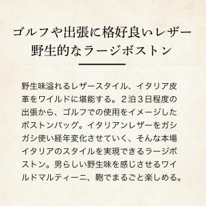 【ココマイスター】ワイルドマルティーニ・グレー...の詳細画像1