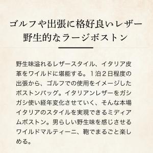【ココマイスター】ワイルドマルティーニ・ミディ...の詳細画像1