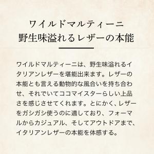 【ココマイスター】ワイルドマルティーニ・ミディ...の詳細画像3