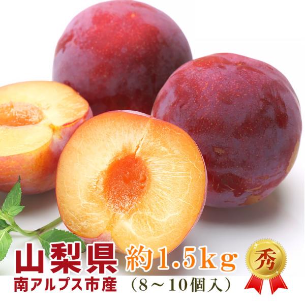 プラム 貴陽 高級すもも 約1.5kg 8〜10個入 秀 2L 3L 山梨県産 南アルプス市産