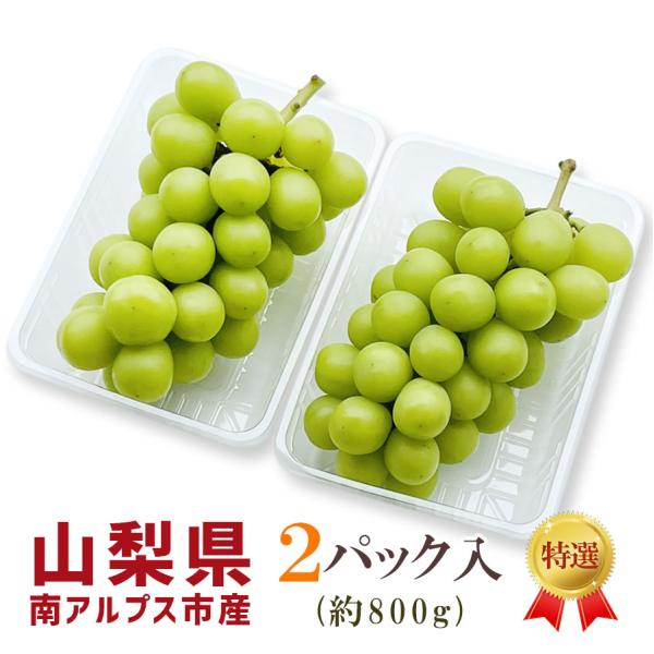 シャインマスカット 山梨県産 2パック入 約800g 南アルプス市産 高級ぶどう 種無し お手頃サイ...