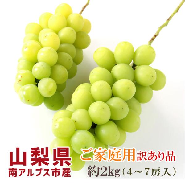 シャインマスカット 山梨県産 訳あり品 ご家庭用 約2kg 4〜7房入 南アルプス市産 高級ぶどう ...