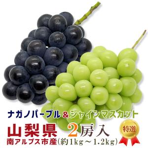 ナガノパープル＆シャインマスカット 山梨県産 2房入 2色食べ比べ 約1kg〜1.2kg 南アルプス市産 高級ぶどう 種無し 皮ごと