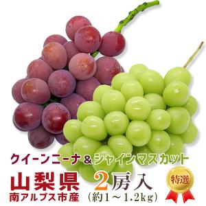 2026新商品 クイーンニーナ＆シャインマスカット 山梨県産 2房入 2色食べ比べ 約1kg〜1.2kg 南アルプス市産 高級ぶどう 種無し 皮ごと