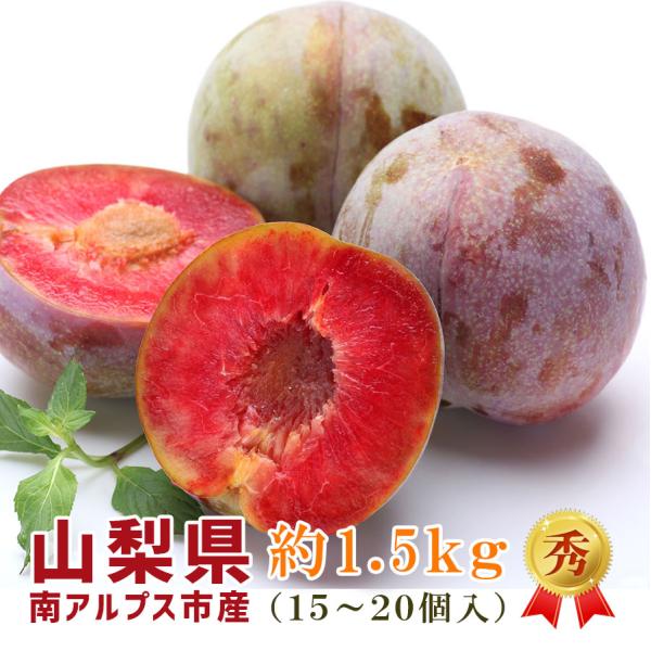 プラム ソルダム 高級すもも 約1.5kg 15〜20個入 秀 L 2L 山梨県産 南アルプス市産