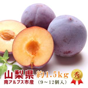 プラム 太陽 高級すもも 1.5kg以上 9〜12個入 秀 2L 3L 山梨県産 南アルプス市産｜ココ・メルカート