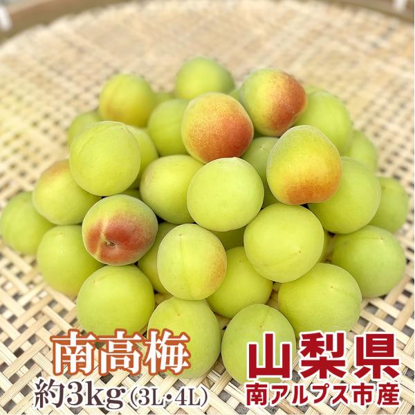 南高梅 約3kg 60〜80個 3L 4L サイズ混合 梅酒 梅干し 梅ジュース用 山梨県産 南アル...