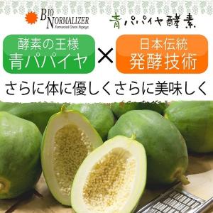 優良配送 青パパイヤ酵素 バイオ・ノーマライザ...の詳細画像5