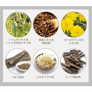 【好評につき24時間延長】3月26日23時59...の詳細画像2
