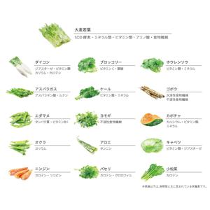 Be グリーン GF 90g(3g×30袋) ...の詳細画像4