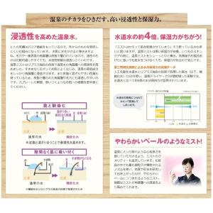 四万温泉ミスト 80g オンセンキレイ 温泉水...の詳細画像2