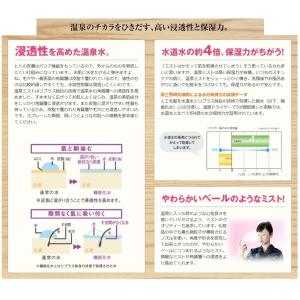 いぶすきの秘密 80g オンセンキレイ 温泉水...の詳細画像2