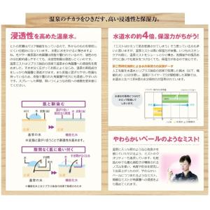 下部うるおいミスト 80g オンセンキレイ 温...の詳細画像2
