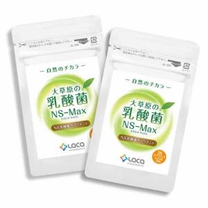 アルタイのNS乳酸菌 2袋 NS-Dx 腸活 乳酸菌 サプリメント : スマート