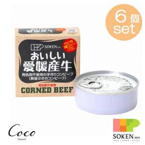 愛媛の無塩せきコンビーフ 80g ×6セット 創健社 発色剤不使用 愛媛産牛肉100％使用｜coconatural