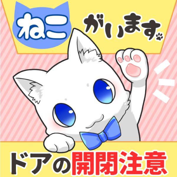 猫がいます ドアの開閉注意 脱走防止 ステッカーシール 屋外 耐水 日本製 80×80mm 白猫