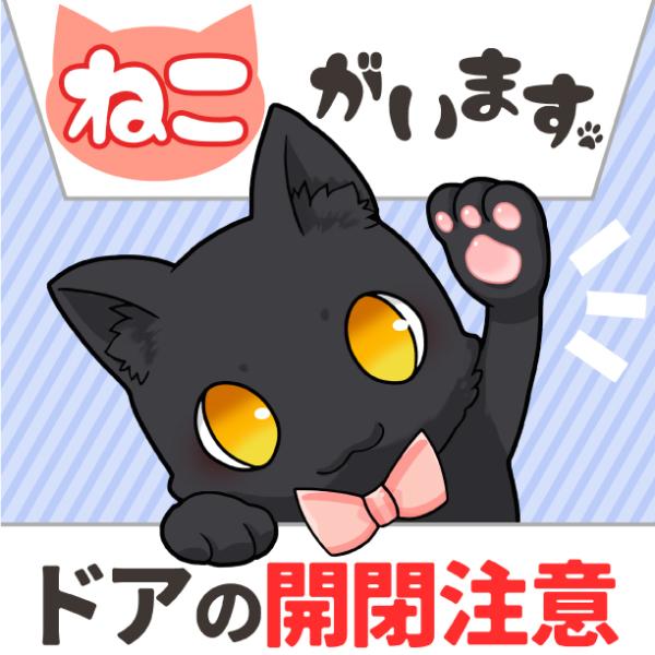 猫がいます ドアの開閉注意 脱走防止 ステッカーシール 屋外 耐水 日本製 80×80mm 黒猫