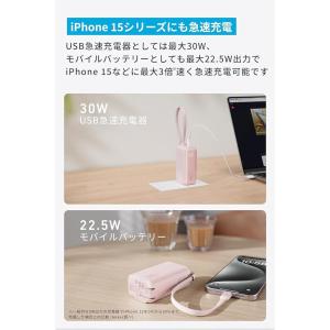 [在庫処分] アンカーAnker Power ...の詳細画像4