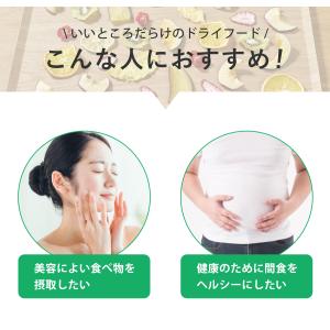 ドライフードメーカー アルコレ フードドライヤ...の詳細画像4