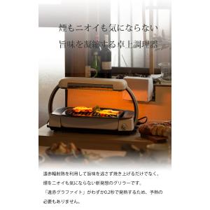 [在庫処分]アラジン グラファイトグリラー 電...の詳細画像3