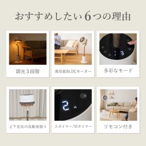 [在庫処分]アルコレ ライトサーキュレーター ...の詳細画像4
