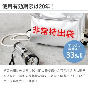 [在庫限り]エナジャイザー リチウム乾電池 長...の詳細画像3