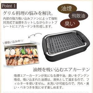スーパー吸煙グリル『スモークリーンIII』 ホ...の詳細画像2