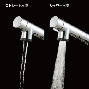 SANEI キッチン用 シングルワンホールスプ...の詳細画像4