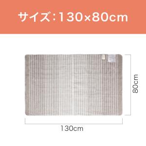 [在庫処分]コイズミ 電気毛布 敷き毛布 KD...の詳細画像2